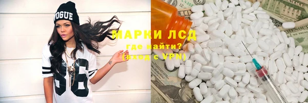 прущие грибы Алзамай