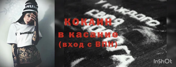 прущие грибы Алзамай