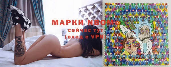 прущие грибы Алзамай