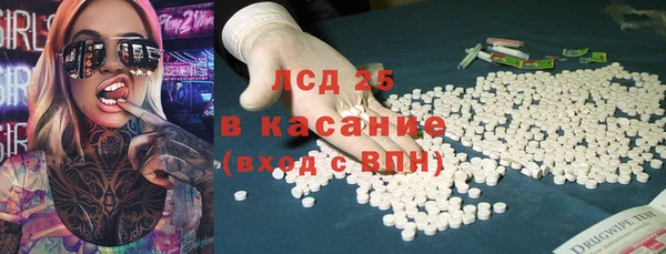прущие грибы Алзамай