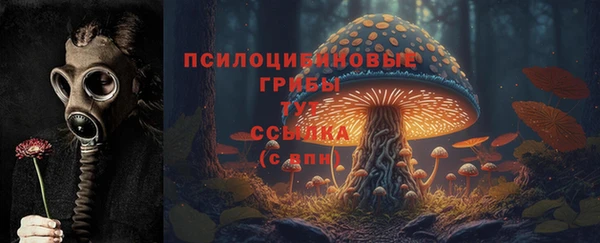 прущие грибы Алзамай