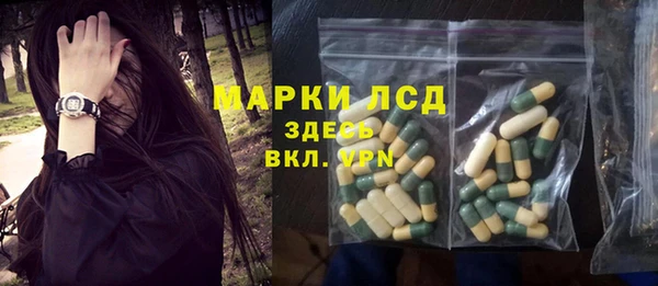 прущие грибы Алзамай