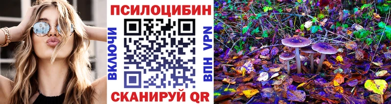 цена   Лобня  Галлюциногенные грибы Magic Shrooms 